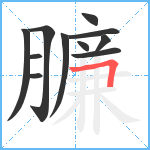 臁笔顺分解图片11