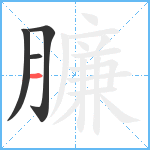 臁笔顺分解图片4