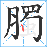 臅笔顺分解图片12