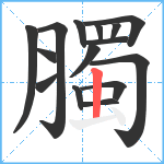 臅笔顺分解图片15