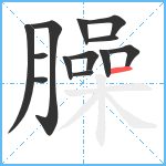 臊笔顺分解图片13