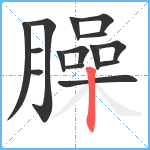 臊笔顺分解图片15