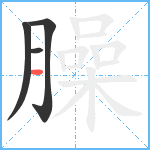 臊笔顺分解图片4