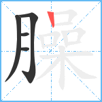 臊笔顺分解图片5