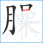 臊笔顺分解图片7