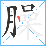 臊笔顺分解图片8