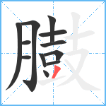 臌笔顺分解图片12