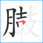 臌笔顺分解图片9