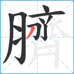 臍笔顺分解图片11