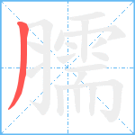 臑笔顺分解图片1