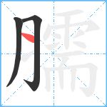 臑笔顺分解图片3