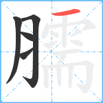 臑笔顺分解图片5