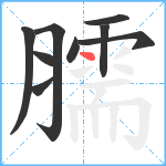 臑笔顺分解图片9