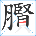 臔笔顺分解图片16