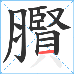 臔笔顺分解图片17