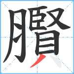 臔笔顺分解图片18