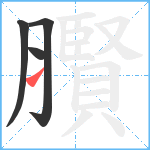 臔笔顺分解图片4