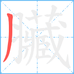 臟笔顺分解图片1