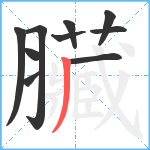 臟笔顺分解图片10