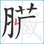 臟笔顺分解图片11