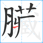 臟笔顺分解图片12