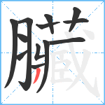 臟笔顺分解图片13