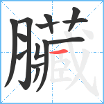 臟笔顺分解图片14