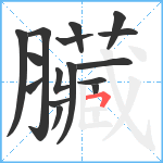 臟笔顺分解图片16