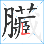 臟笔顺分解图片19