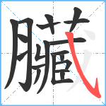 臟笔顺分解图片20