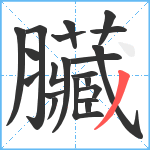 臟笔顺分解图片21