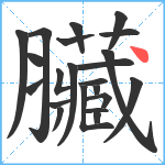 臟笔顺分解图片22