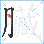 臟笔顺分解图片3