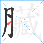 臟笔顺分解图片4