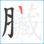 臟笔顺分解图片5