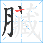 臟笔顺分解图片6