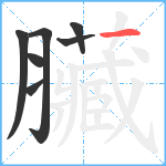 臟笔顺分解图片7