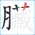 臟笔顺分解图片8