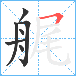 艉笔顺分解图片7