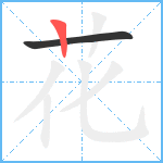 花笔顺分解图片2
