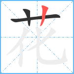 花笔顺分解图片3