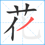 花笔顺分解图片6