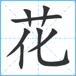 花笔顺分解图片8