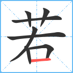 若笔顺分解图片8