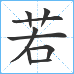 若笔顺分解图片9