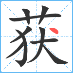 获笔顺分解图片10