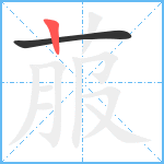 菔笔顺分解图片2