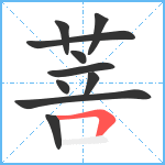 菩笔顺分解图片10