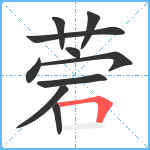 菪笔顺分解图片10