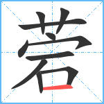 菪笔顺分解图片11